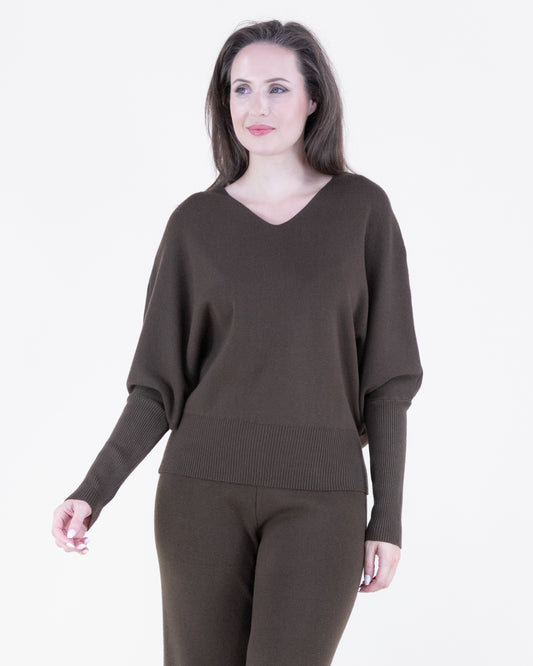 Earth Tone V-Neck Comfy Pullover Sweater