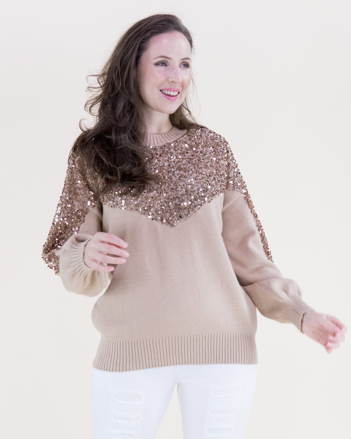 Sequin Yoke & Sleeves Crew Neck Sweater