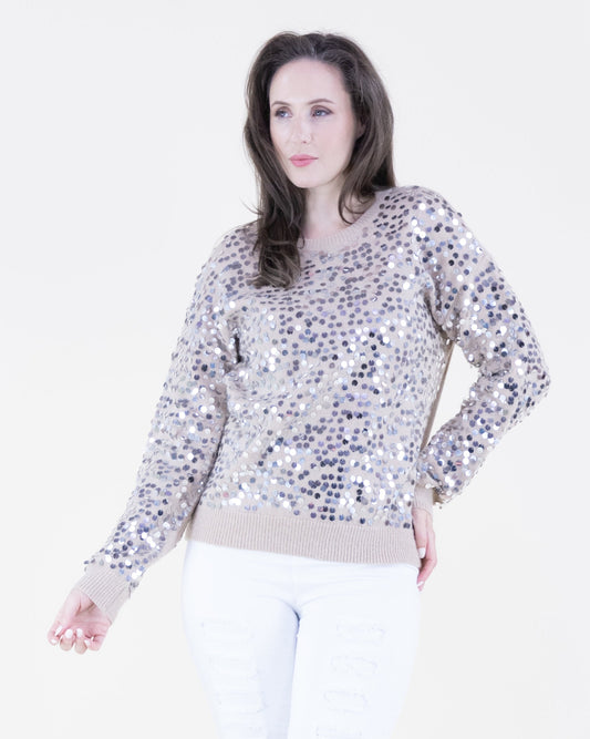 Sequin Crew Neck Pullover Sweater