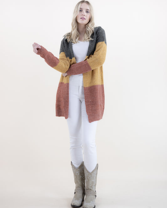 Multi Color Block Hooded Cardigan