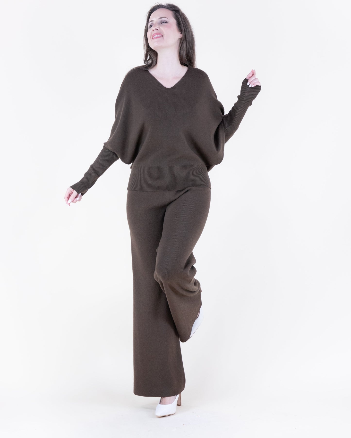 Earth Tone V-Neck Comfy Pullover Sweater