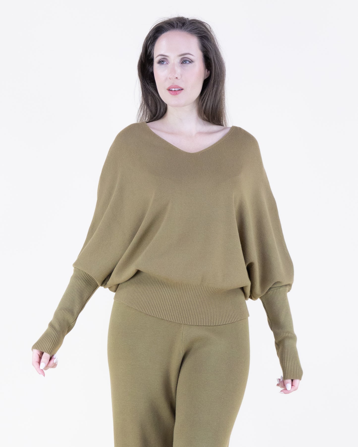 Earth Tone V-Neck Comfy Pullover Sweater
