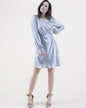 Metallic Surplice Long Sleeve Midi Dress