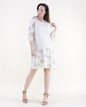 Dancing Floral Embroidered Drop Waist Mini Dress