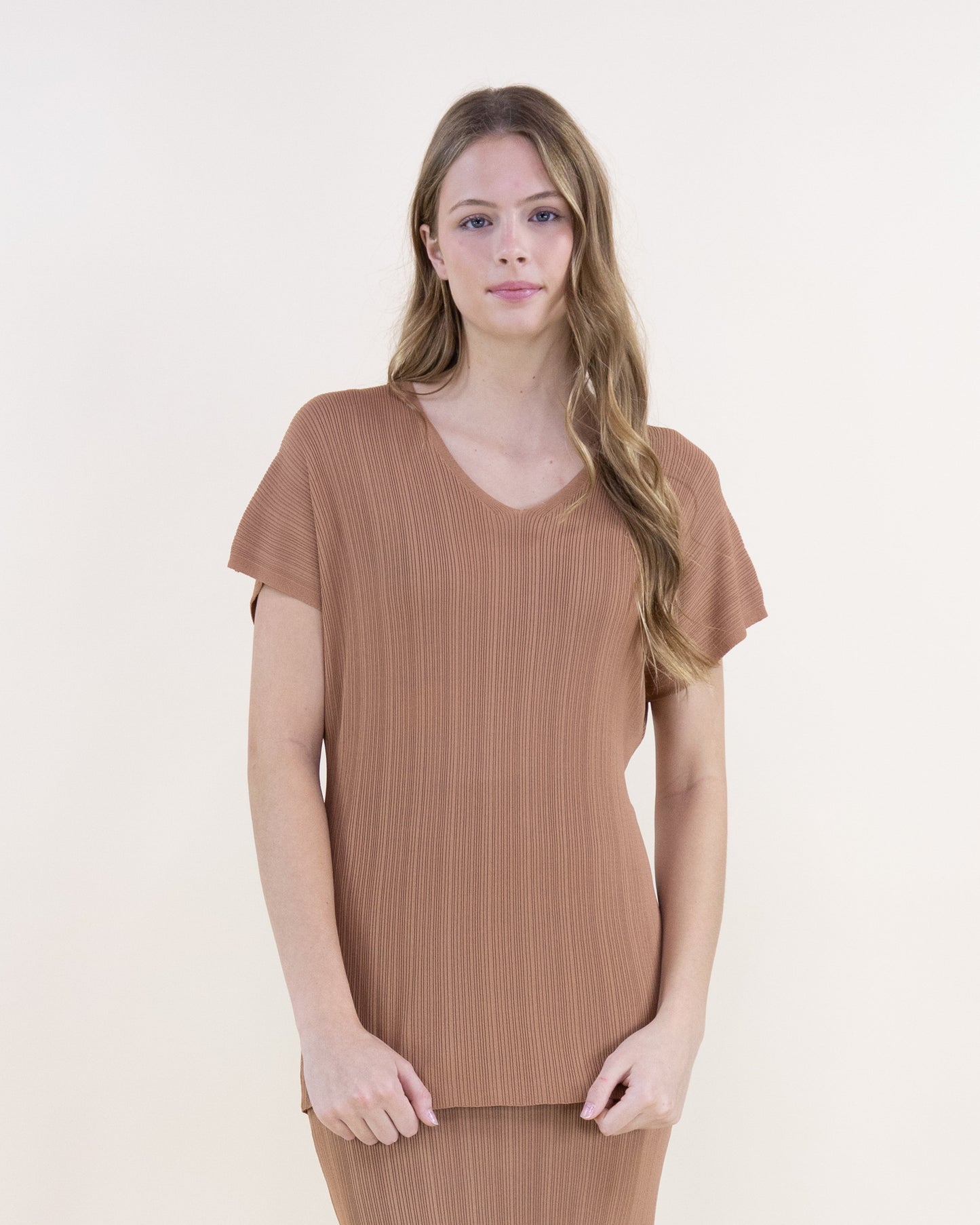 Sandy Thin Ribbed Short Sleeve V-Neck Knit Top