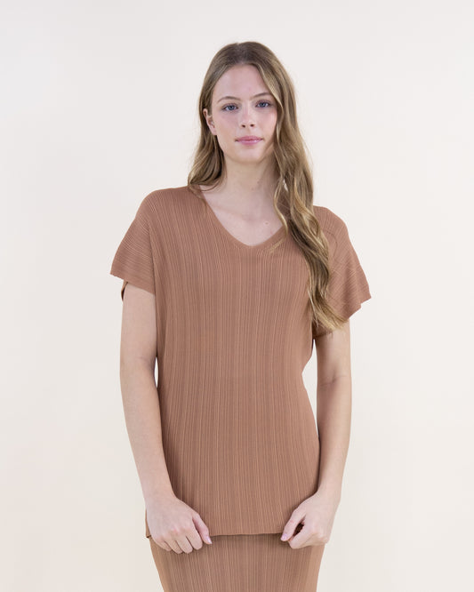 Sandy Thin Ribbed Short Sleeve V-Neck Knit Top