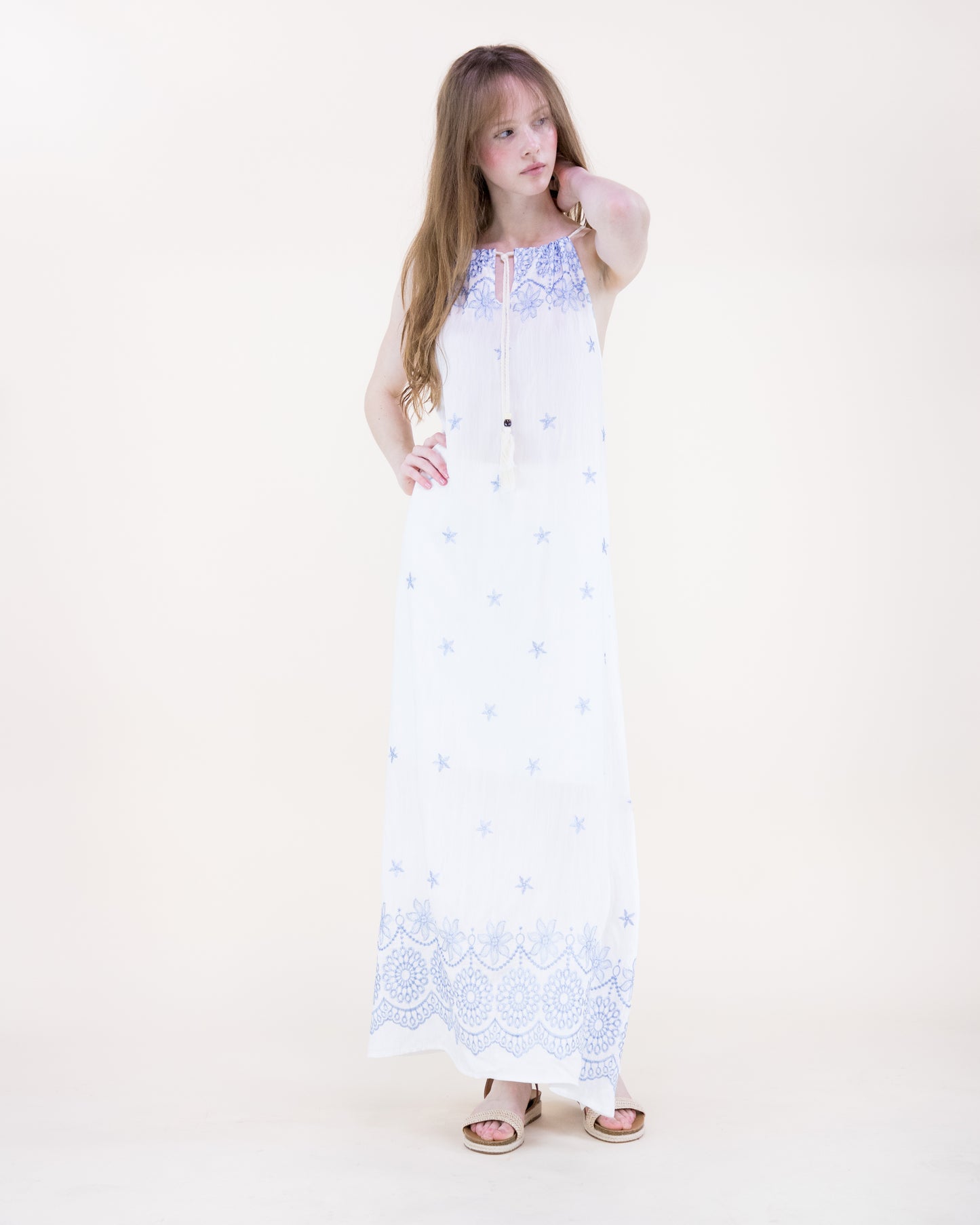 Amsonia Embroidered Sleeveless Maxi Dress