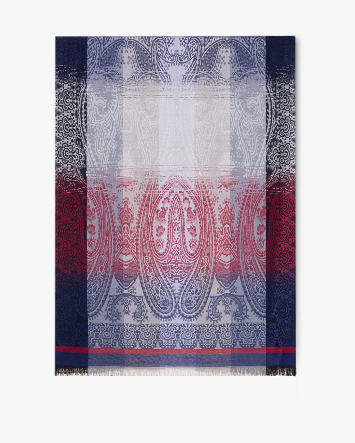 Paisley Color Border Pashmina