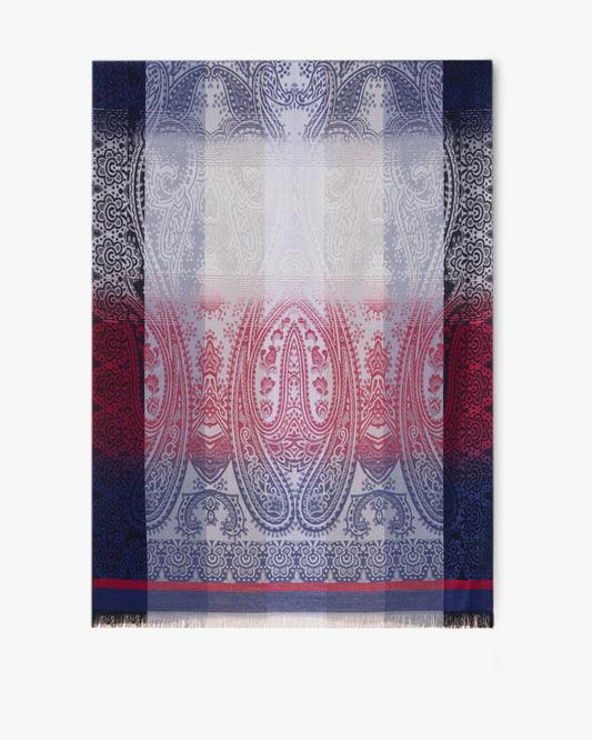 Paisley Color Border Pashmina