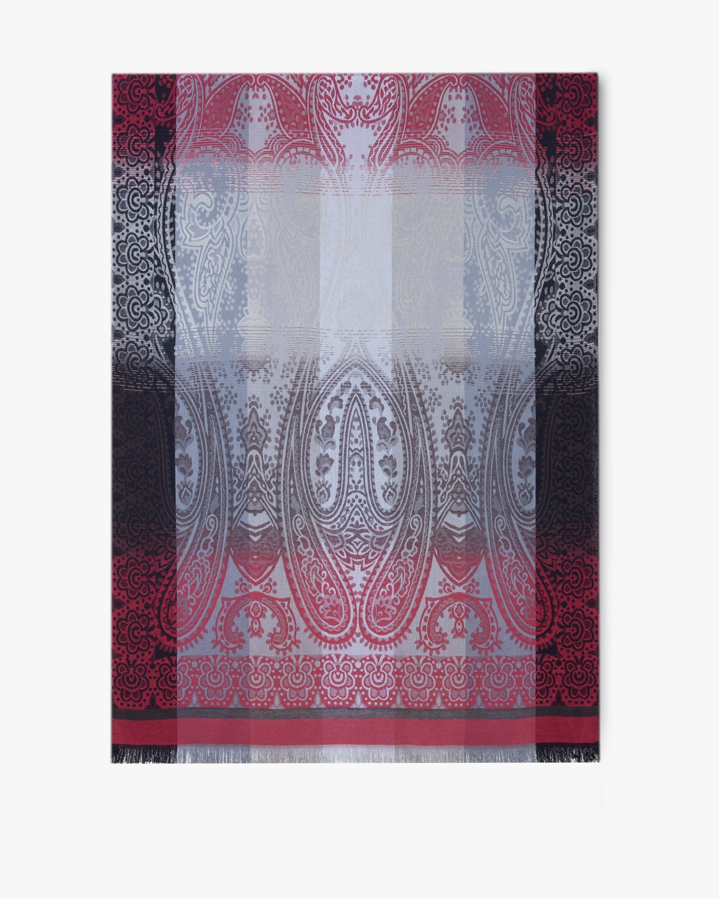Paisley Color Border Pashmina