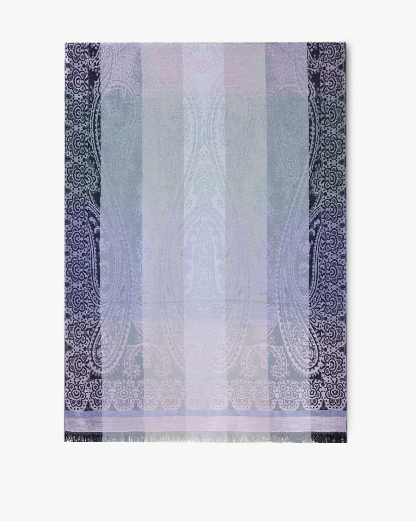 Paisley Color Border Pashmina