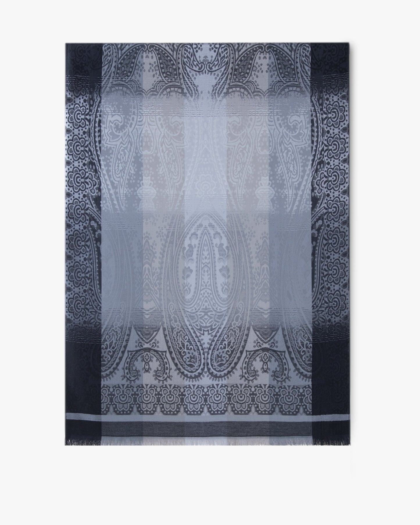 Paisley Color Border Pashmina