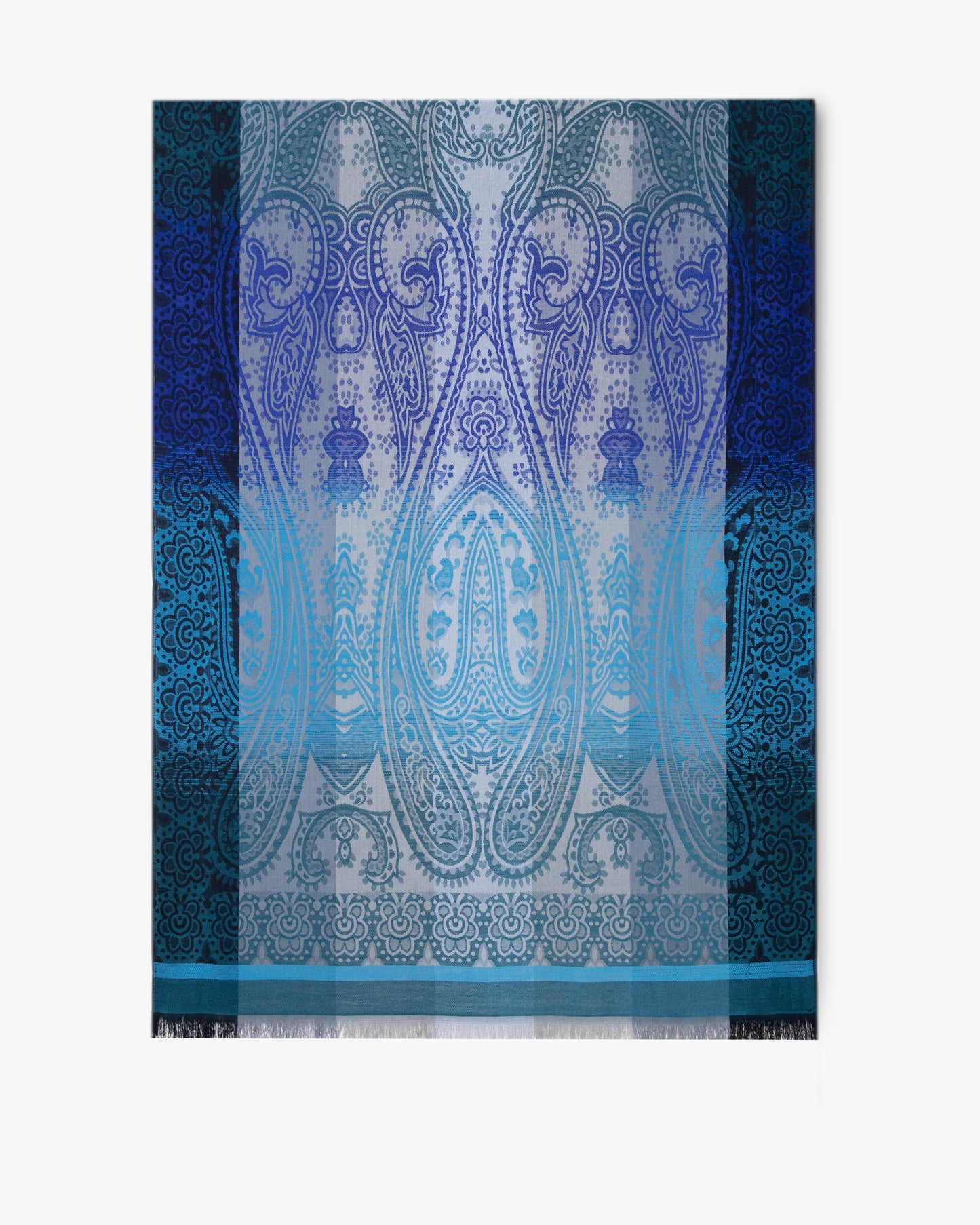 Paisley Color Border Pashmina