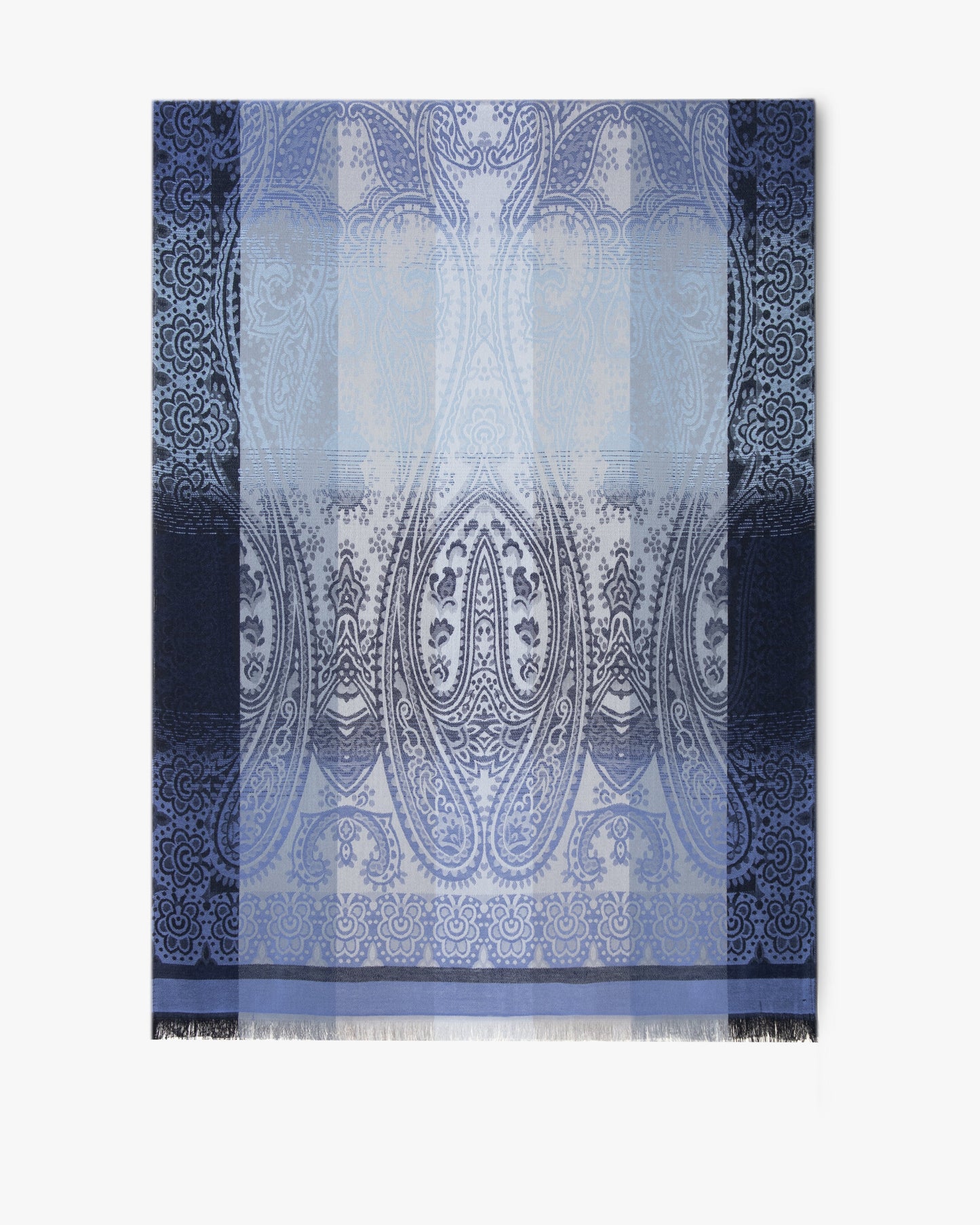 Paisley Color Border Pashmina